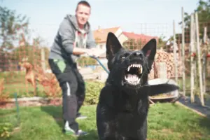 Should I Still Seek a Claim if I Know The Dog That Bite Me?